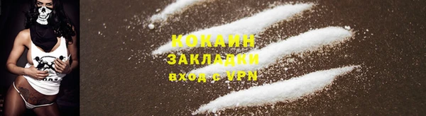 PSILOCYBIN Горняк