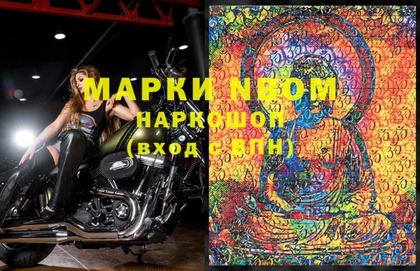 PSILOCYBIN Горняк
