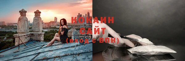 ГАЛЛЮЦИНОГЕННЫЕ ГРИБЫ Вязьма