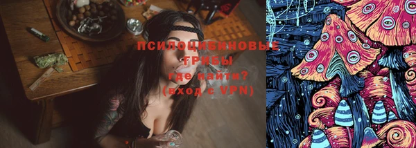 PSILOCYBIN Горняк