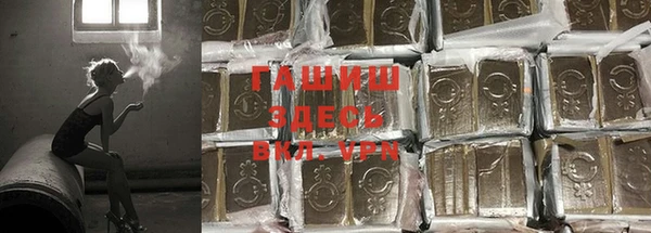 ГАЛЛЮЦИНОГЕННЫЕ ГРИБЫ Вязьма