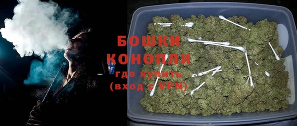 PSILOCYBIN Горняк