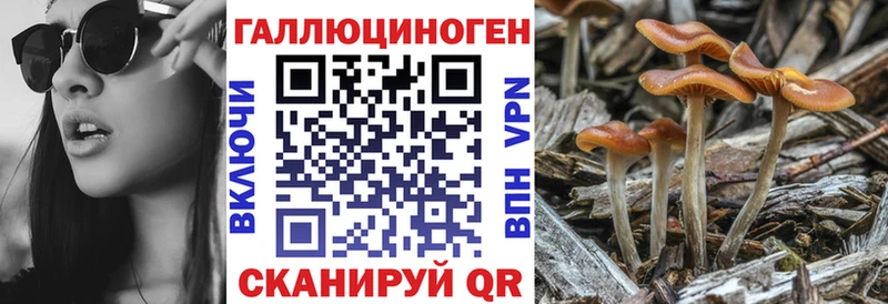 Галлюциногенные грибы ЛСД  Талица 